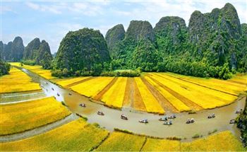 Tour Hoa Lư – Tam Cốc – Hang Múa 1 ngày