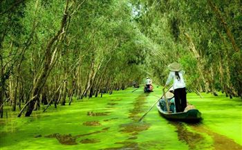 Tour 3N2Đ SÀI GÒN BẾN TRE – CHÂU ĐỐC – RỪNG TRÀM TRÀ SƯ – – MỸ THO – VƯỜN BƯỞI DA XANH –   CẦN THƠ – CHỢ NỔI CÁI RĂNG – KDL MỸ KHÁNH 