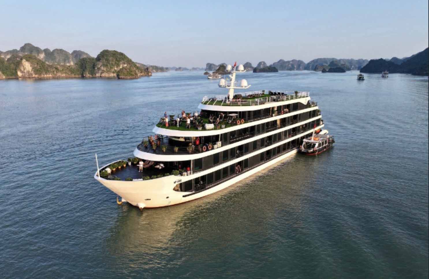 Tour du thuyền Hạ Long Venus Cruise 5 sao 2 ngày 1 đêm